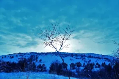 Imagem jigsaw puzzle