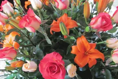 flores