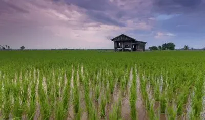 Imagem jigsaw puzzle