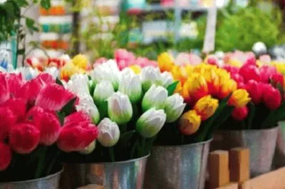 Imagem jigsaw puzzle