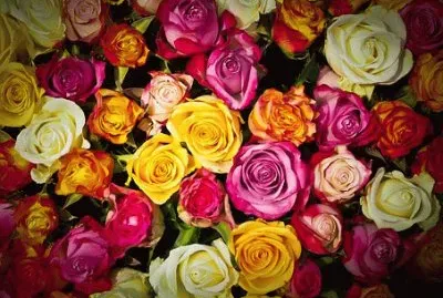 Imagem jigsaw puzzle