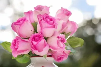 Imagem jigsaw puzzle