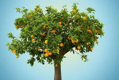 Imagem jigsaw puzzle