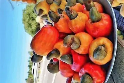 frutas