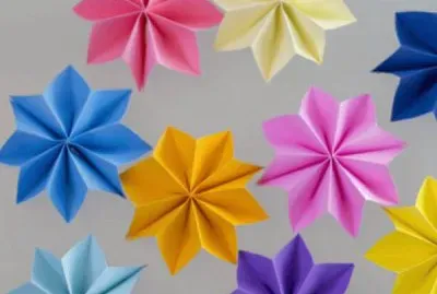 FLORES D COLORES