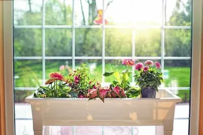 Imagem jigsaw puzzle