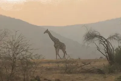 Pilanesberg-South Africa