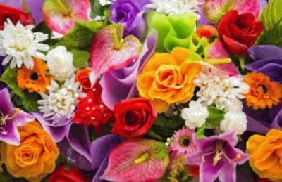 Imagem jigsaw puzzle
