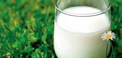 natural jigsaw puzzle