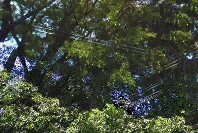 Imagem jigsaw puzzle