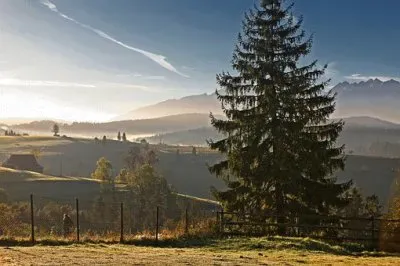 Imagem jigsaw puzzle