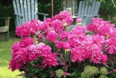 Imagem jigsaw puzzle