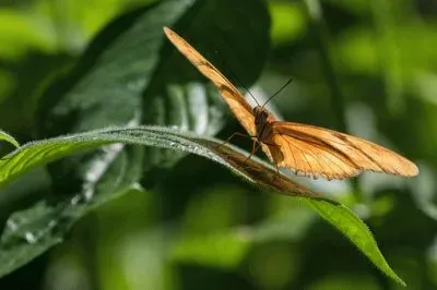 Imagem jigsaw puzzle