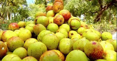 Imagem jigsaw puzzle