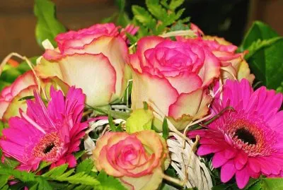 Imagem jigsaw puzzle
