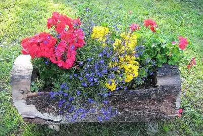 flores jigsaw puzzle