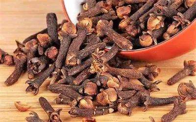 natural jigsaw puzzle