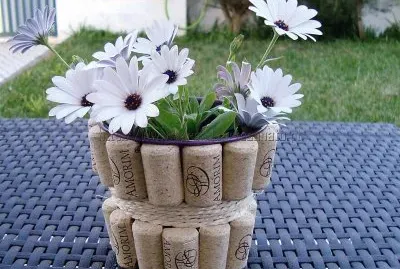 flores