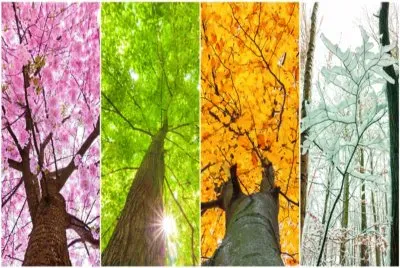 å››å­£æ˜¥å¤ç§‹å†¬