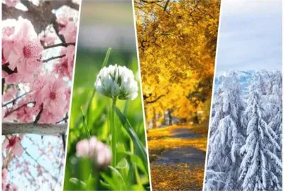 å››å­£æ˜¥å¤ç§‹å†¬