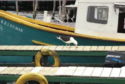 rei do mar