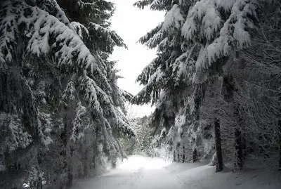 Montagne noire MAZAMET