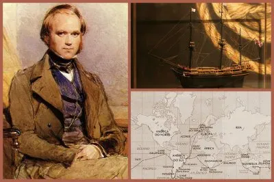 Imagem jigsaw puzzle