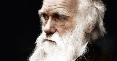 Imagem jigsaw puzzle