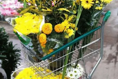 flores jigsaw puzzle