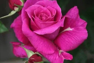 imagem jigsaw puzzle