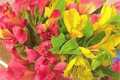 flores jigsaw puzzle