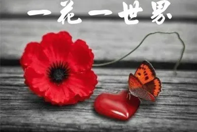 è—å¿ƒèªžéŒ„ jigsaw puzzle