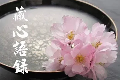 è—å¿ƒèªžéŒ„ jigsaw puzzle