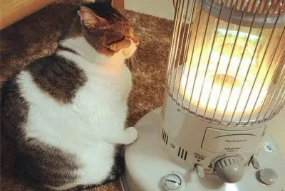 è—å¿ƒèªžéŒ„