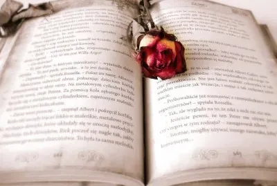 Imagem jigsaw puzzle