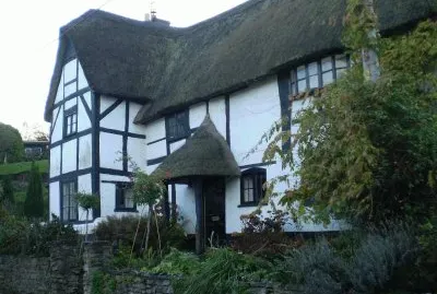 פאזל של Tudor Houses