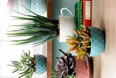 natural jigsaw puzzle