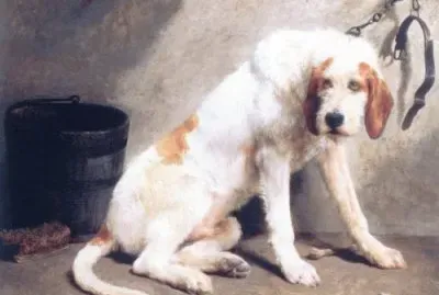 Griffone di vandea