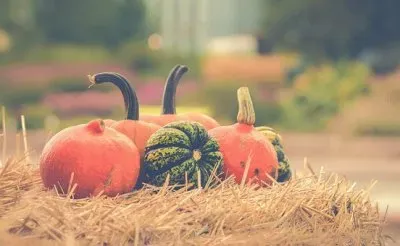 Imagem jigsaw puzzle