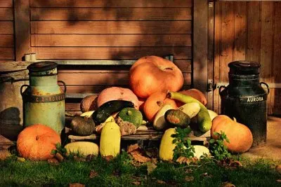 Imagem jigsaw puzzle