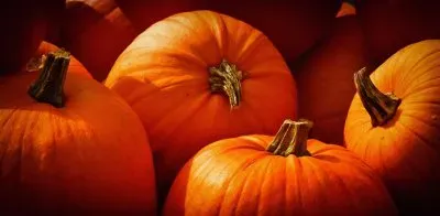 Imagem jigsaw puzzle
