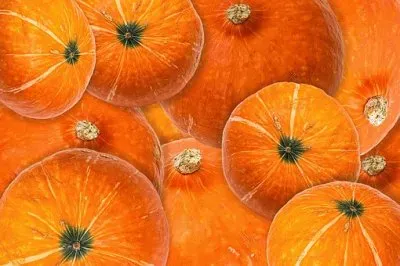 Imagem jigsaw puzzle