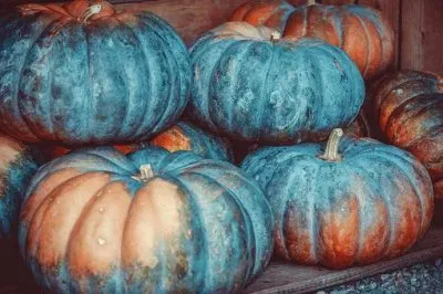 Imagem jigsaw puzzle