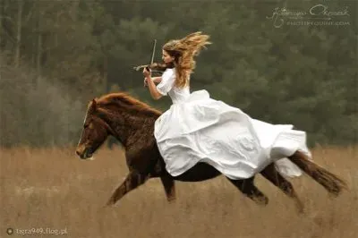 Caballo jigsaw puzzle