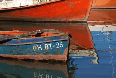 DHBT-25