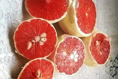 frutas
