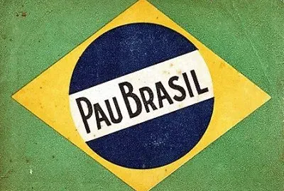 Brasil jigsaw puzzle