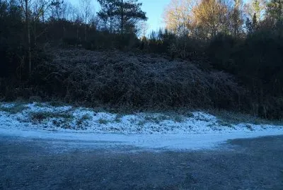 nieve