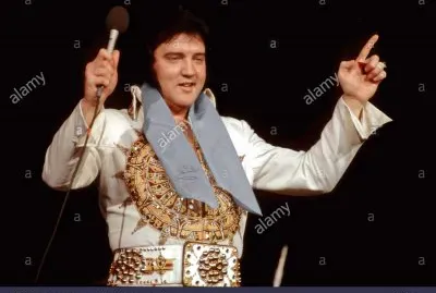 elvis in concert