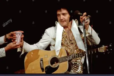 elvis in concert